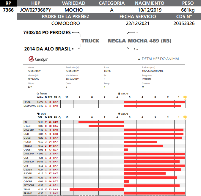 Lote LOTE 47  RP 7366