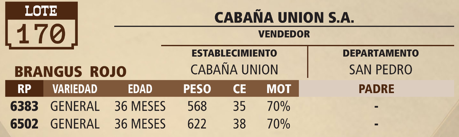 Lote LOTE 170 - PANTALLA