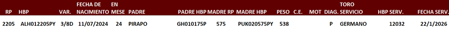 Lote LOTE 31