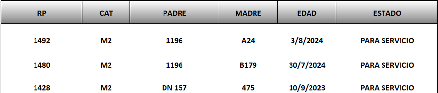 Lote LOTE 49