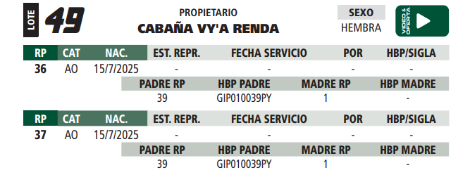 Lote LOTE 49