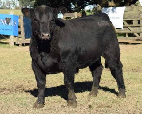 Lote CABAÑA "COEMBOTA" DE CALDERÓN RP 180