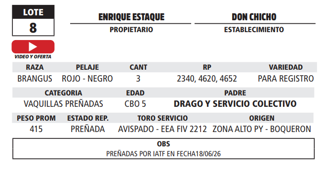 Lote LOTE 8 - EN VIVO