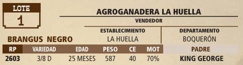 Lote LOTE 1 - VIVO