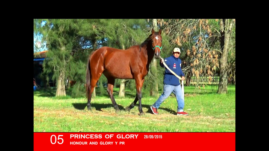 Lote PRINCESS OF GLORY