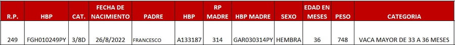 Lote LOTE 61- SALE A VENTA AL 50%