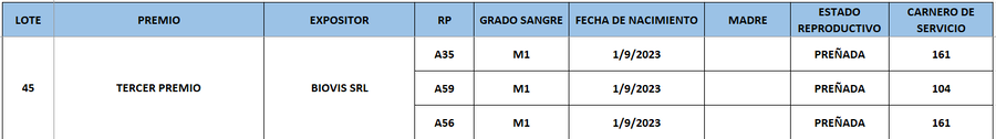 Lote LOTE 45