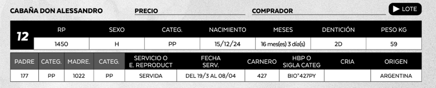 Lote LOTE 12