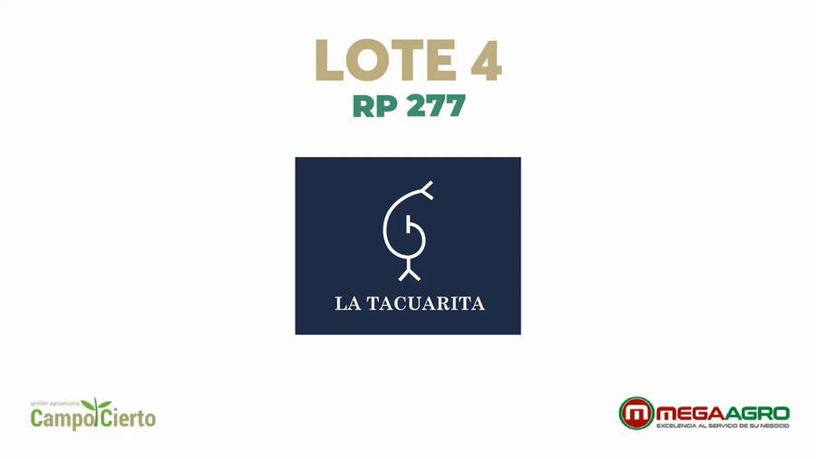 Lote LA TACUARITA