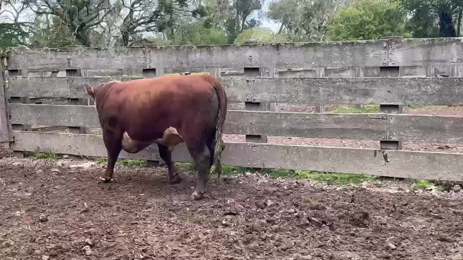 Lote El Vichadero RP H556