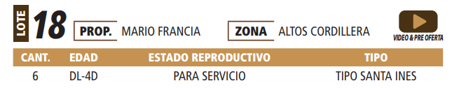 Lote LOTE 18 -POR PANTALLA