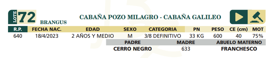 Lote LOTE 72
