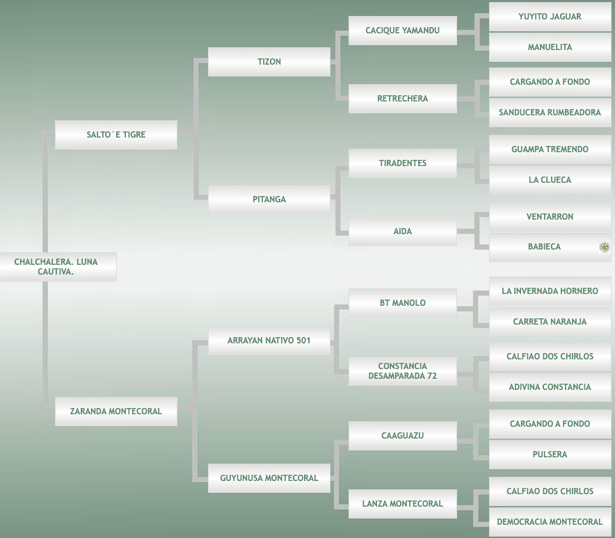 Lote Chalchalera. Luna Cautiva.