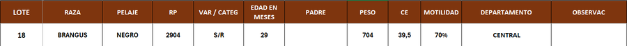 Lote LOTE 18