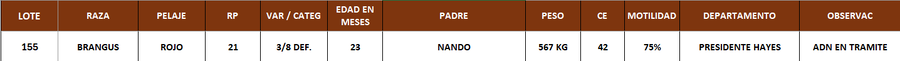 Lote LOTE 155