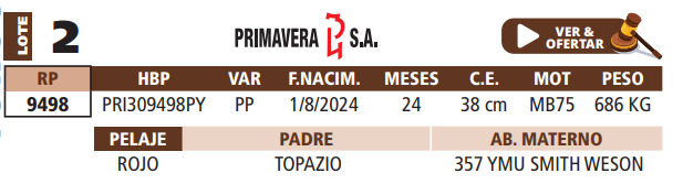 Lote LOTE 2