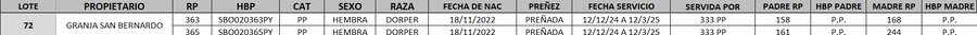 Lote LOTE 72- DESTACADO
