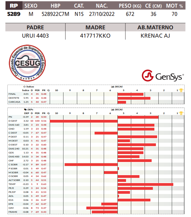 Lote LOTE 36