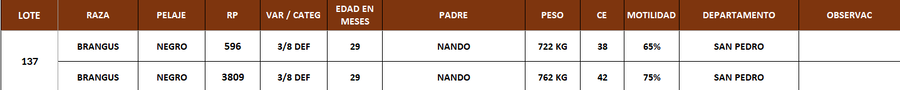 Lote LOTE 137