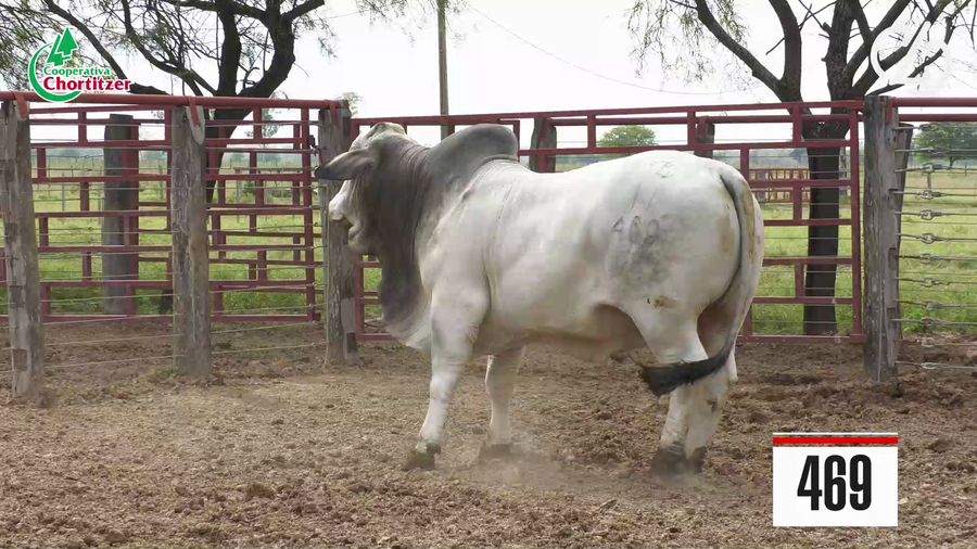 Lote Brahman