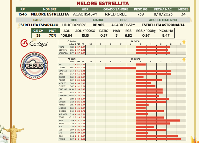 Lote LOTE 16