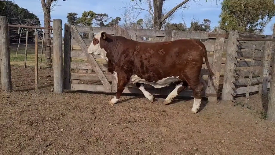 Lote CABAÑA LA ESPERANZA
