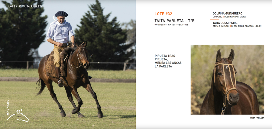 Lote TAITA PARLETA - T/E (DOLFINA GUITARRERO - TAITA GOSSIP GIRL)