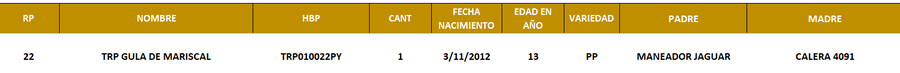 Lote LOTE 4