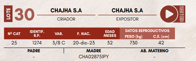 Lote LOTE 30 - TOROS DE CAMPO