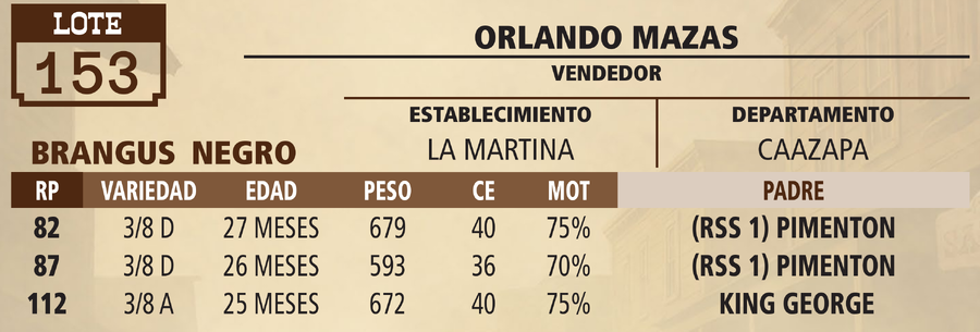 Lote LOTE 153 - VIVO