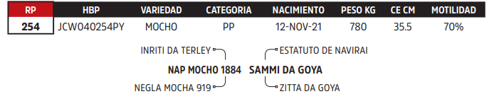 Lote LOTE 17
