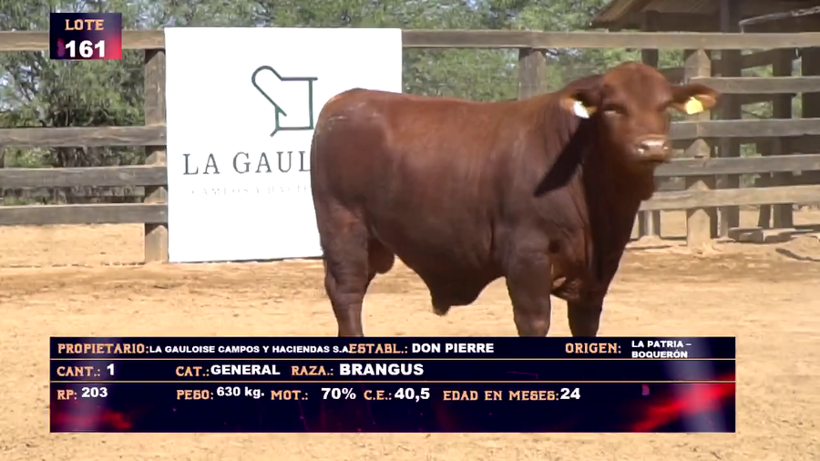 Lote LA GAULOISE CAMPOS Y HACIENDAS  - LOTE 161