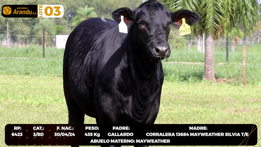 Lote LOTE 3