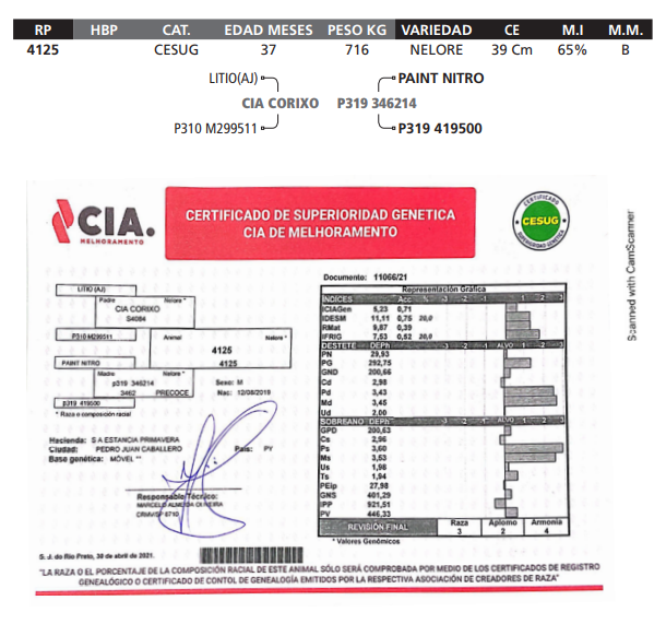 Lote LOTE 64