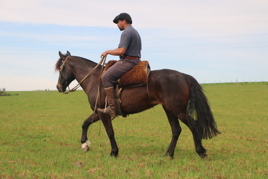 Lote ARPILLERA DEL CONVENTOS