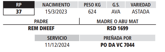 Lote LOTE 21
