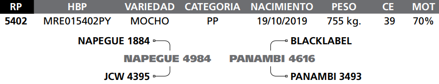 Lote LOTE  29 RP 5402