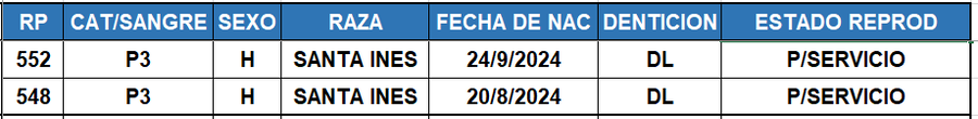 Lote LOTE 52