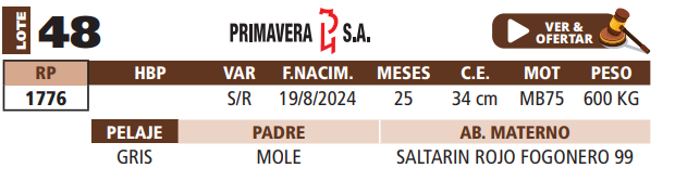 Lote LOTE 48