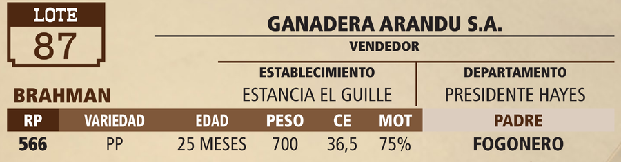 Lote LOTE 87 - VIVO