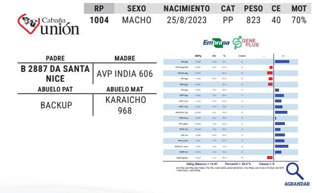 Lote LOTE 29