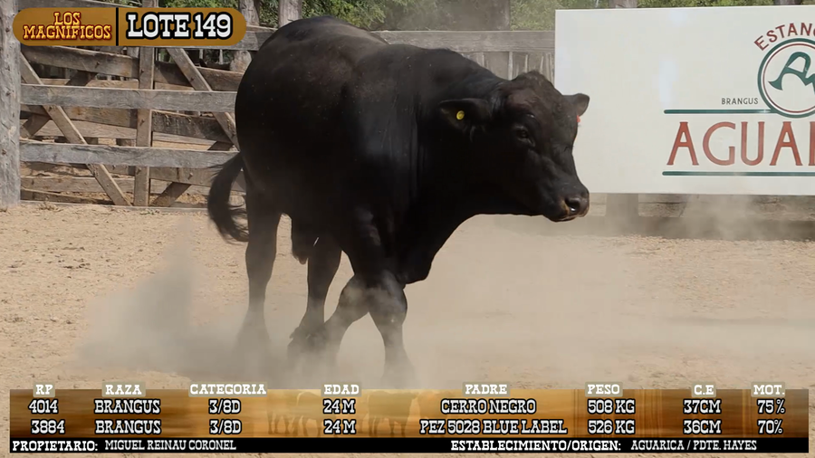 Lote LOTE 149 - PANTALLA