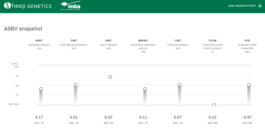 Lote Carnero TOP, 20-1250