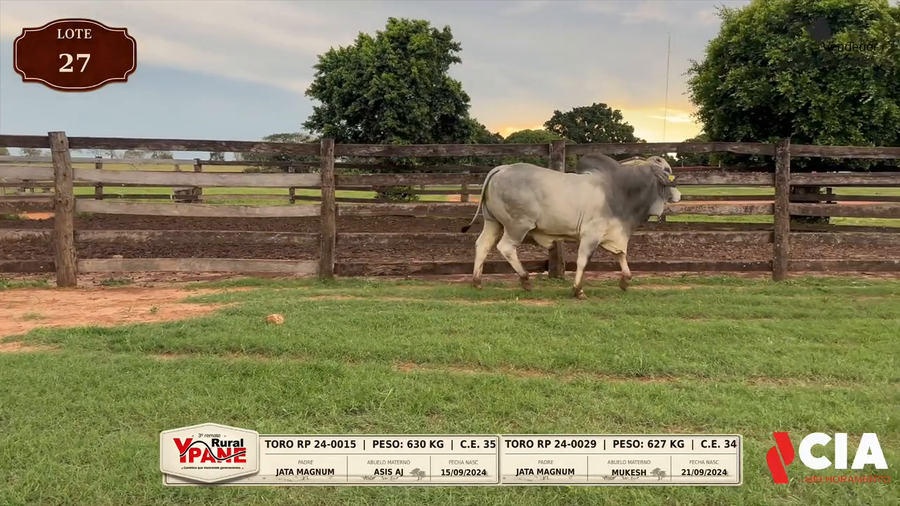 Lote Lote 27