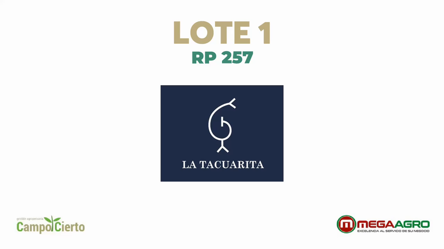 Lote LA TACUARITA