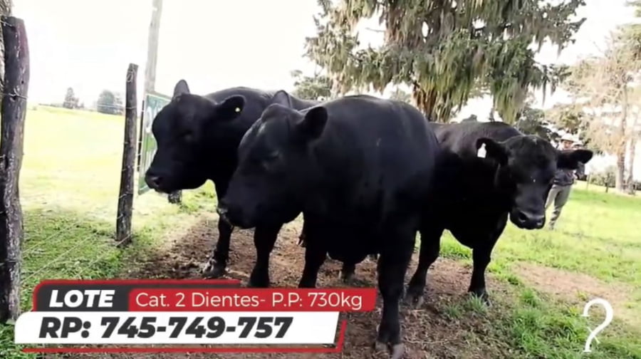 Lote Cabaña la Conchera