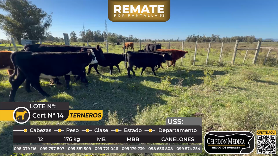 Lote 12 Terneros en Ruta 8 km 70 Cabo Cuchilla De Horno,  Canelones