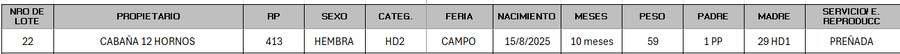 Lote LOTE 22 - CAMPO