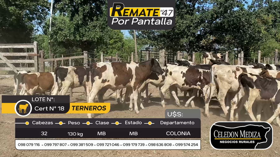 Lote 32 Terneros en Otra Localidad, Colonia