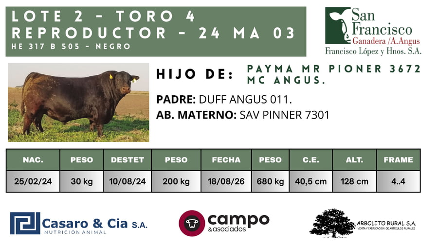 Lote TOROS  San Francisco
